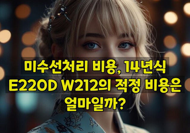 미수선처리 비용, 14년식 E220D W212의 적정 비용은 얼마일까?